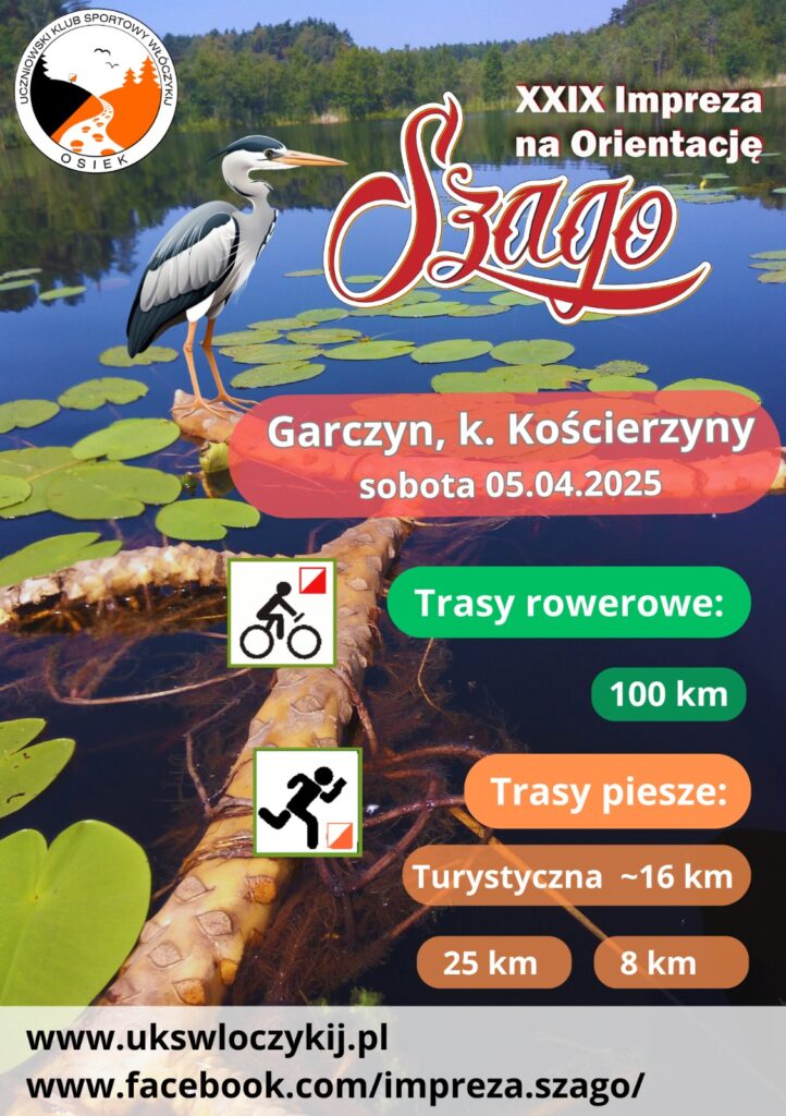 Automatycznie zapisany szkic 2